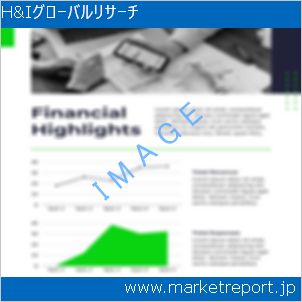市場と産業調査レポートのイメージ